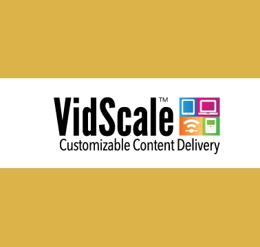 VidScale Slide Decks