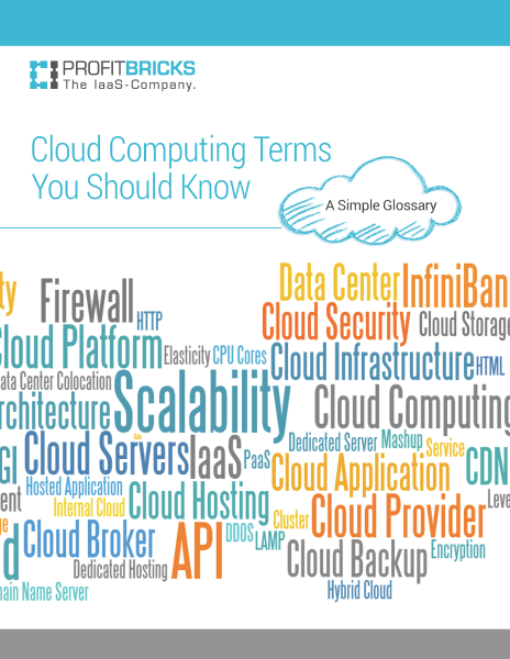 Cloud Computing Terms You Should Know WhitePaper Cover