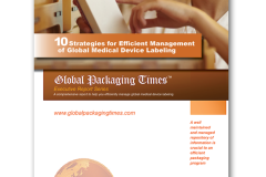 GPT Ten Strategies ebook