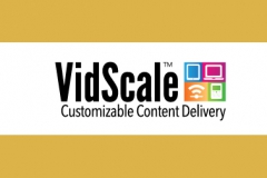 VidScale